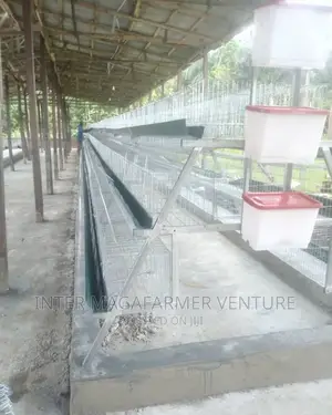 96 Cold Dipped Battery Cage