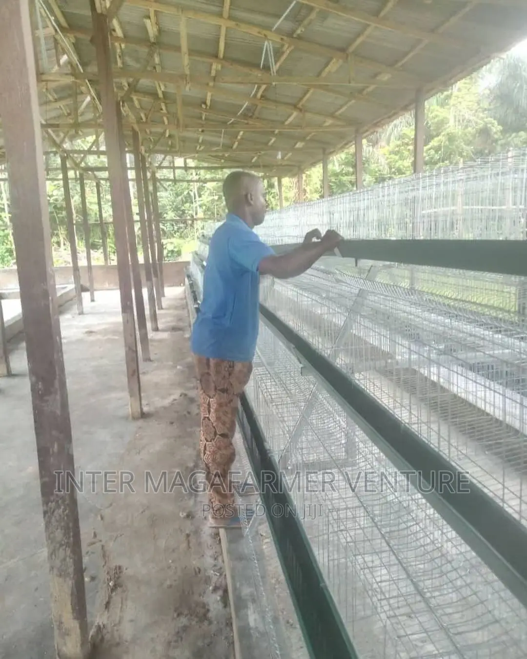 96 Cold Dipped Battery Cage