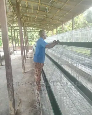 96 Cold Dipped Battery Cage