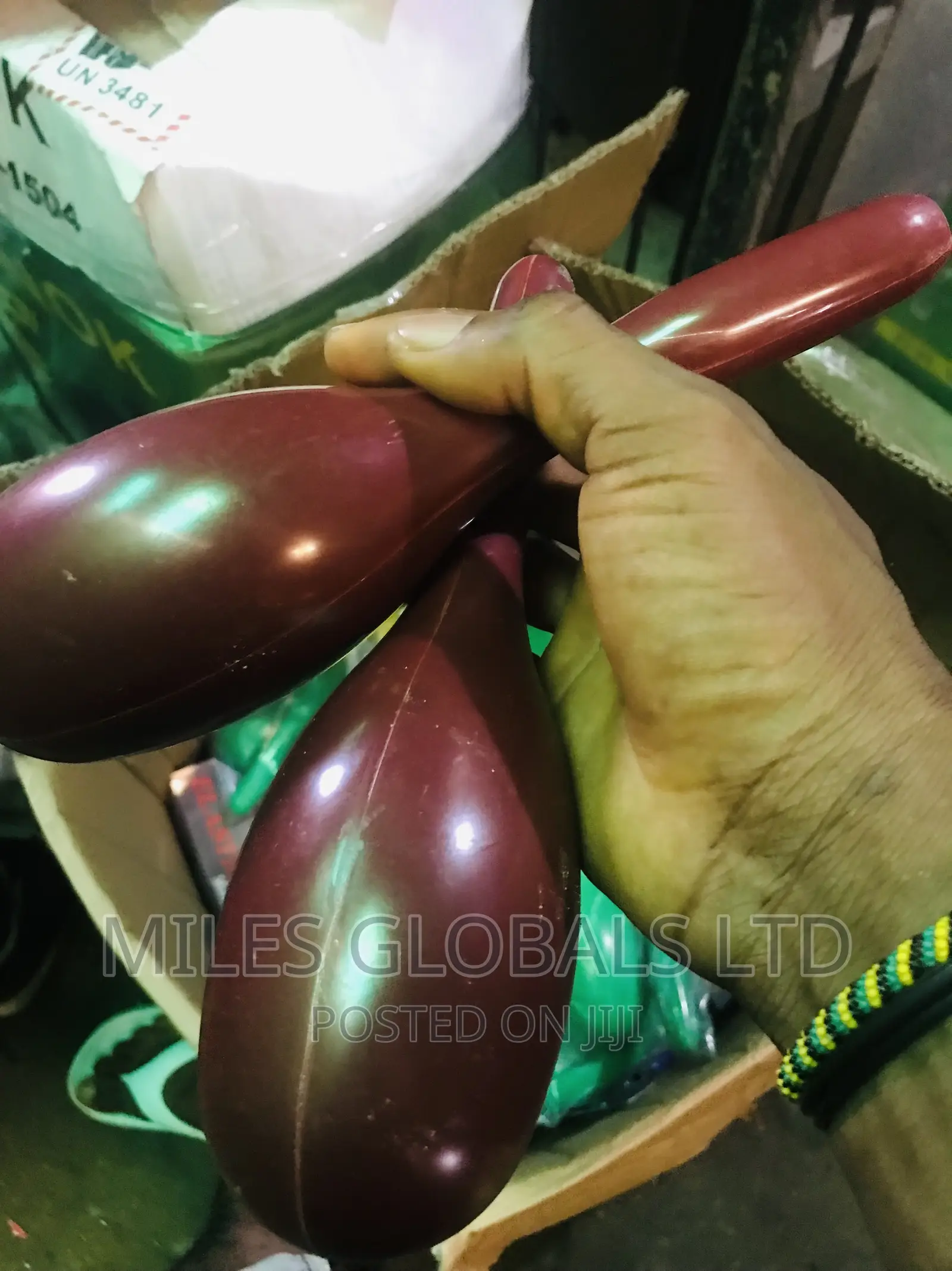 Quality Maracas