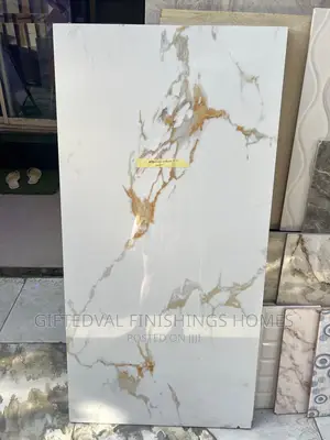 Quality 60*120 Tiles