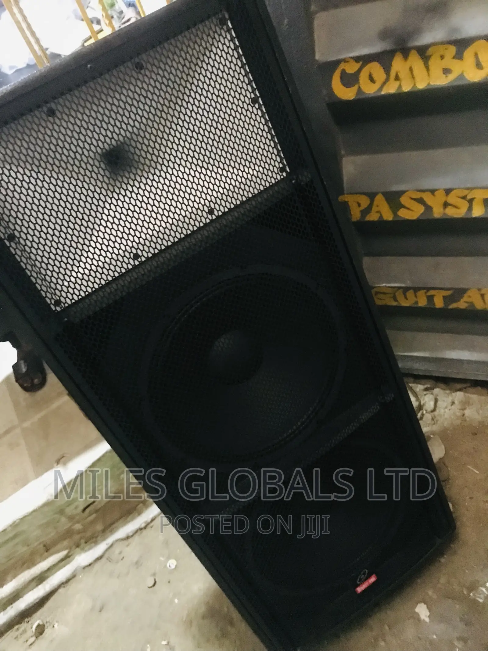 Professional Full Range Speaker