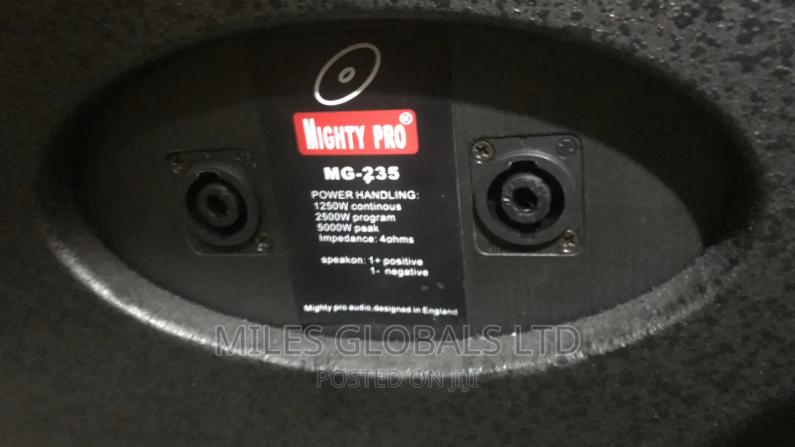 Professional Full Range Speaker