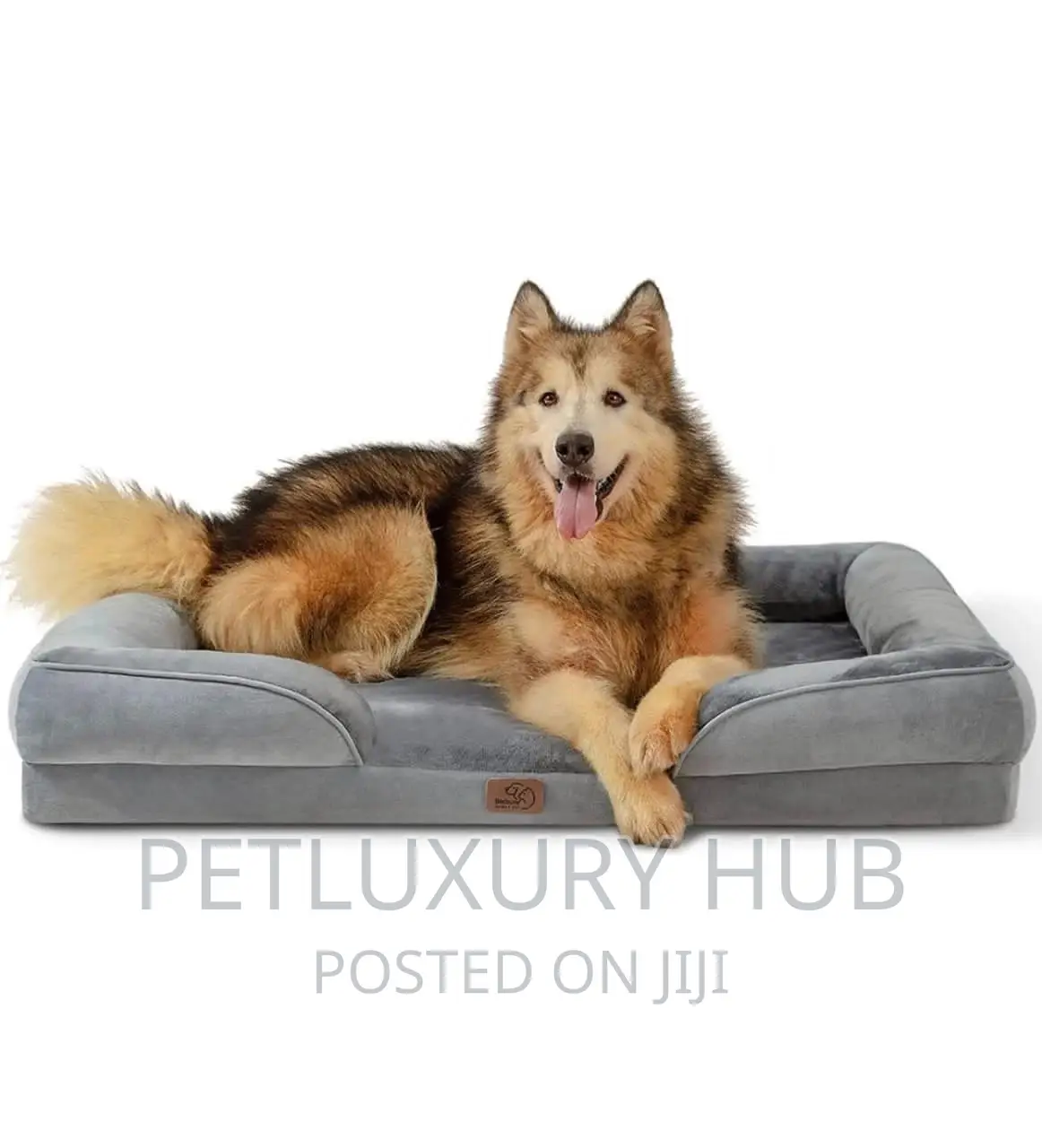 Orthopedic Dog Bed