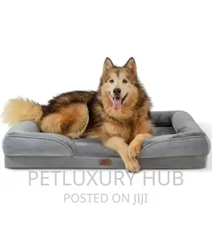 Orthopedic Dog Bed