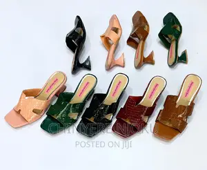 Slippers Shoe