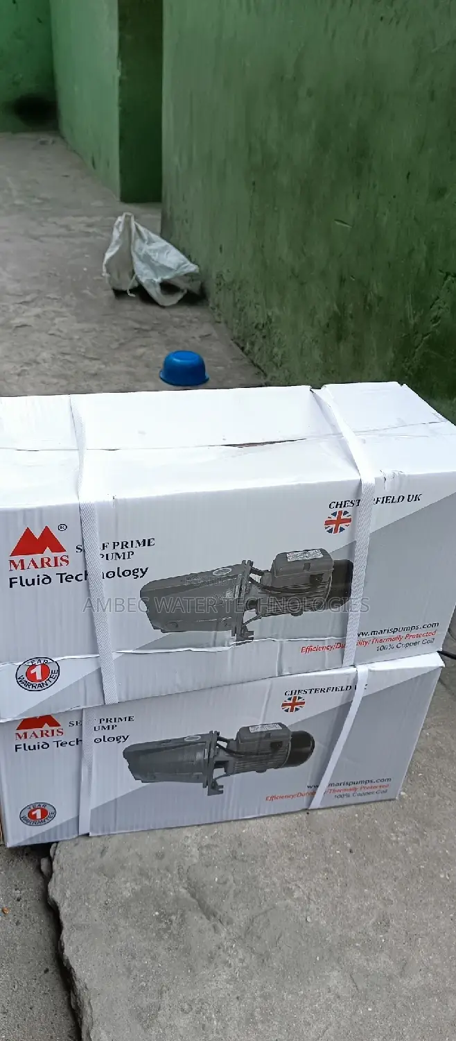 Original Surface Pump