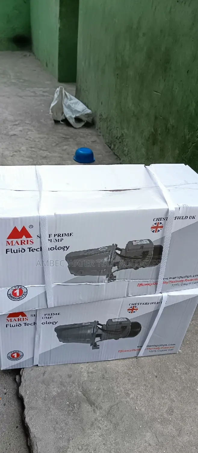 Original Surface Pump