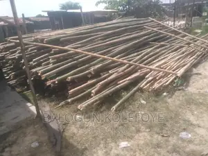 Bamboo Supply and Sells at Ibeju Area