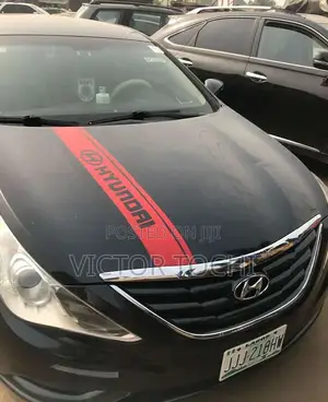 Bonnet Sticker All Cars