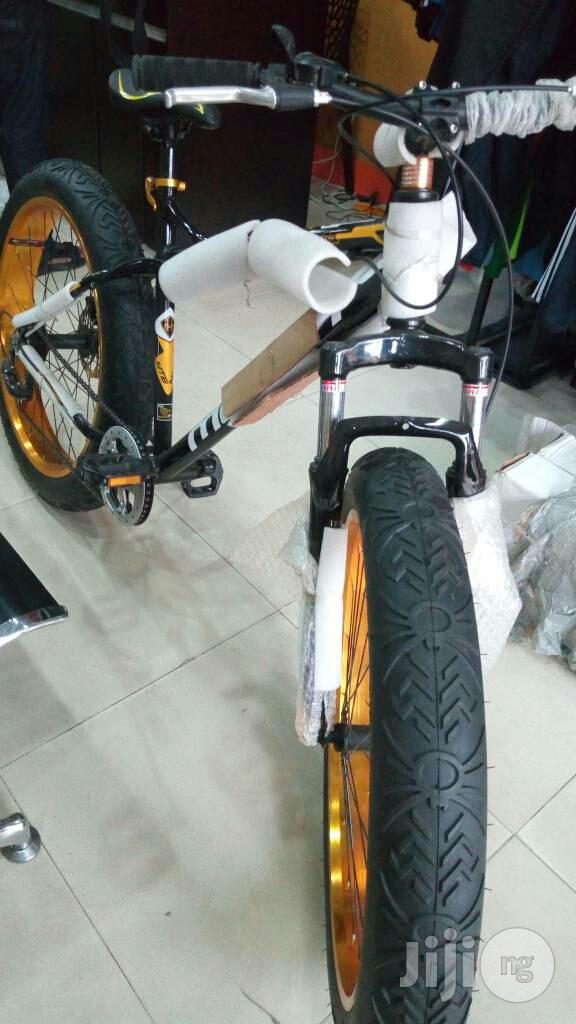 Big Bicycle