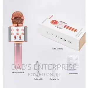 Wireless Microphone