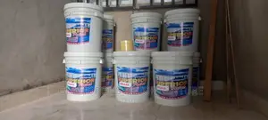 Best and Superior House Paints.
