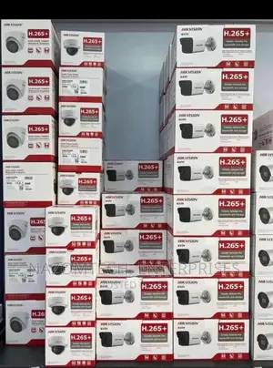 Hik IP Cameras
