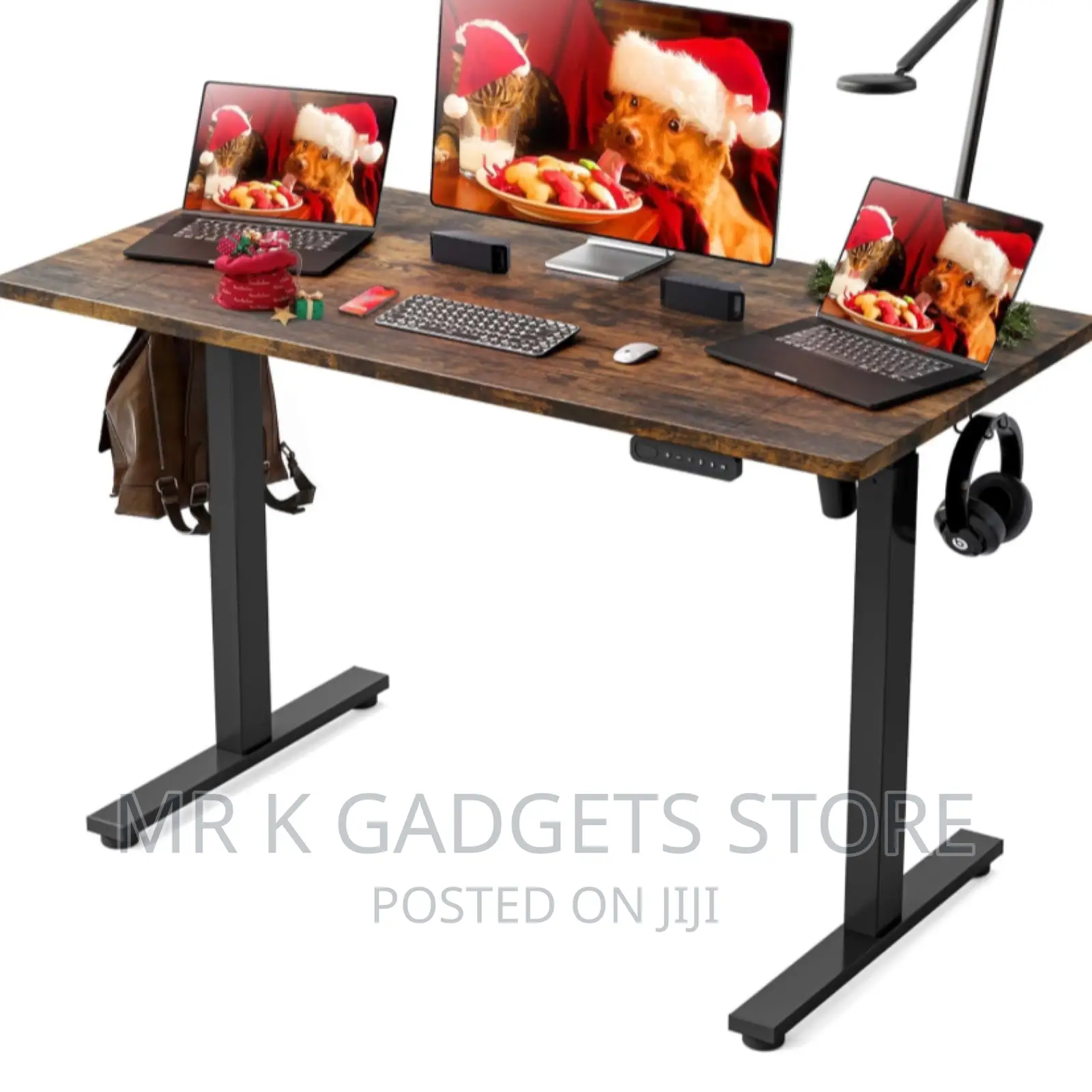 Ergonomic Standing Desk