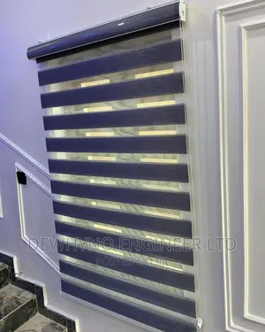 Day and Night Window Blinds