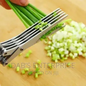5 Blade Multipurpose Kitchen Scissors