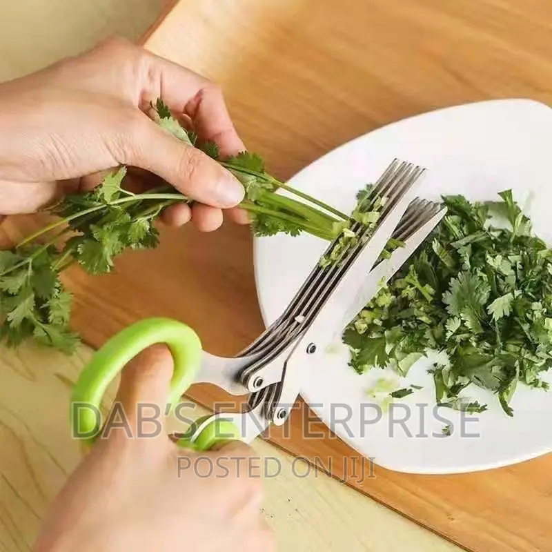 5 Blade Multipurpose Kitchen Scissors
