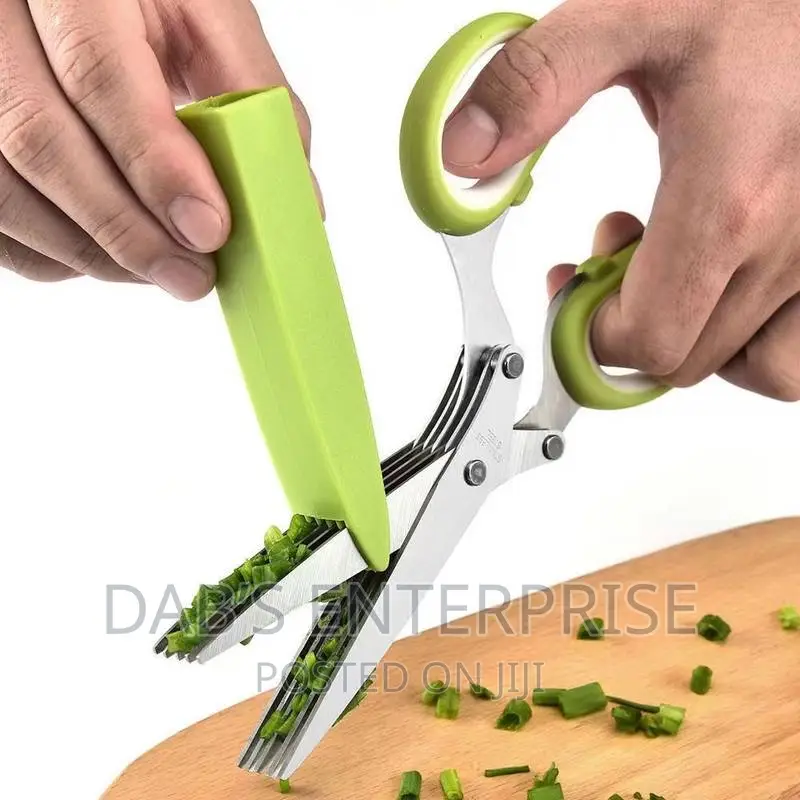 5 Blade Multipurpose Kitchen Scissors