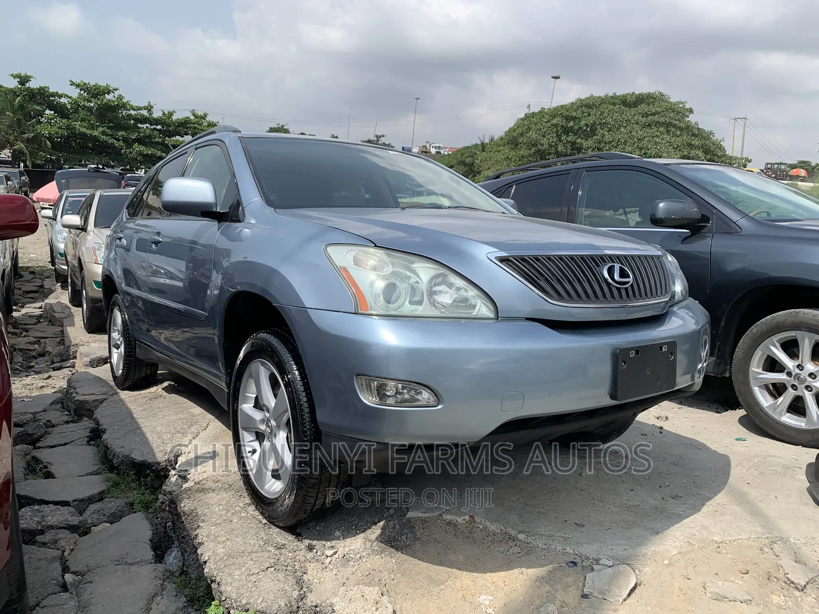 Lexus RX 330 2006 Blue
