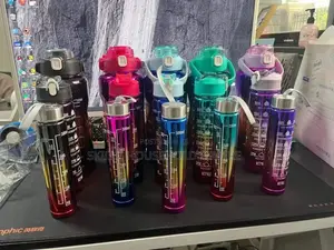 3in1 UV Water Bottle
