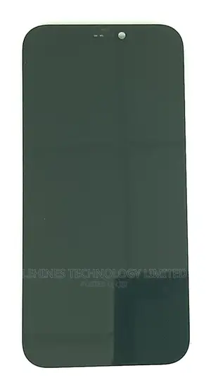 12pro Replacement Screen [Apple]