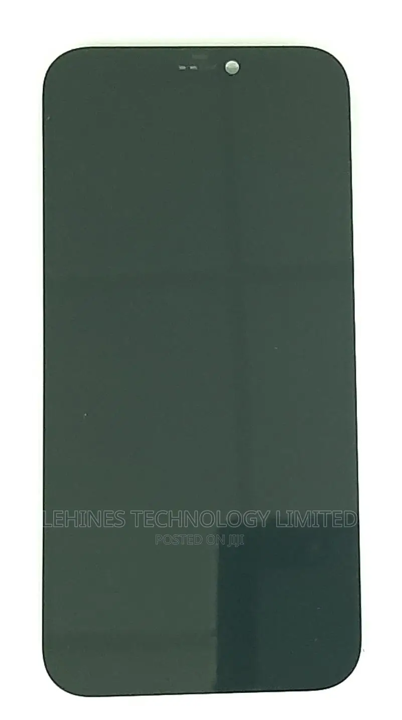 12pro Replacement Screen [Apple]