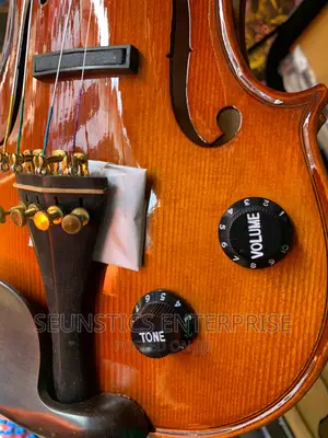 Quality Hallmark Cardinal Concert Electro Acoustic Violin