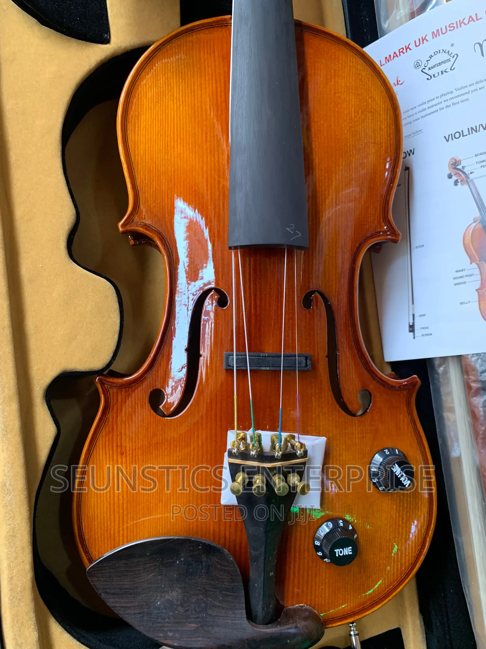Quality Hallmark Cardinal Concert Electro Acoustic Violin