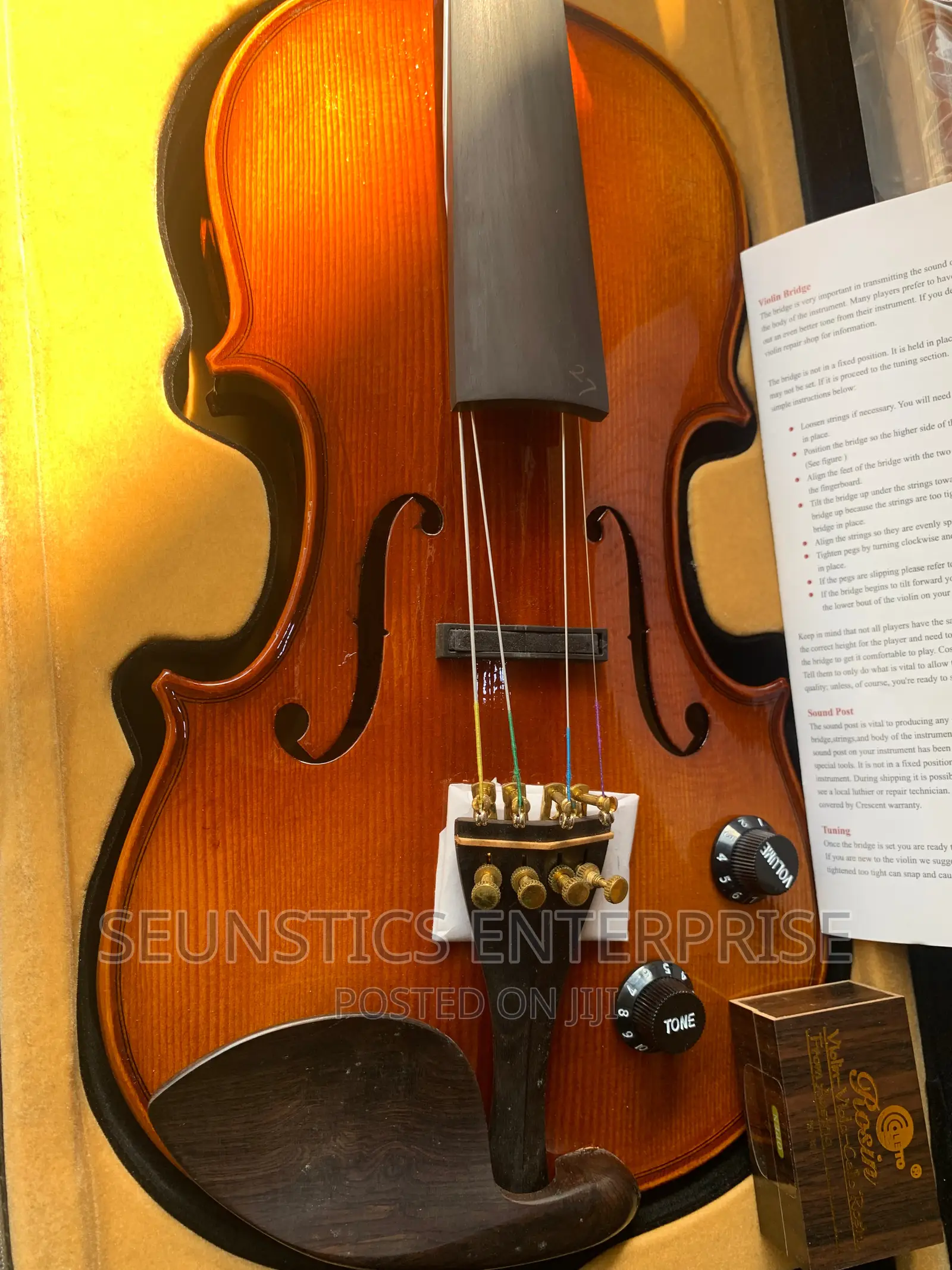 Quality Hallmark Cardinal Concert Electro Acoustic Violin