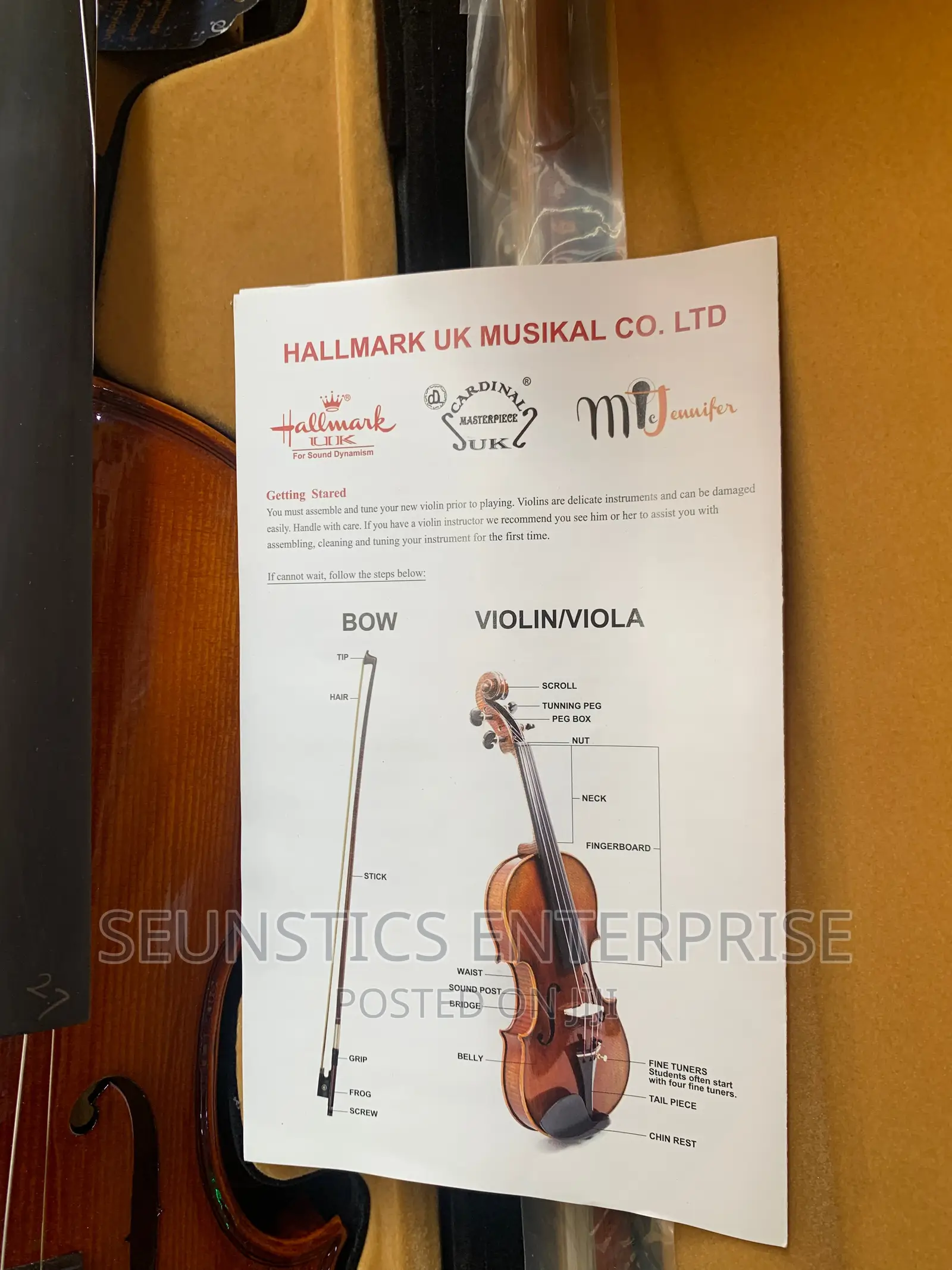 Quality Hallmark Cardinal Concert Electro Acoustic Violin