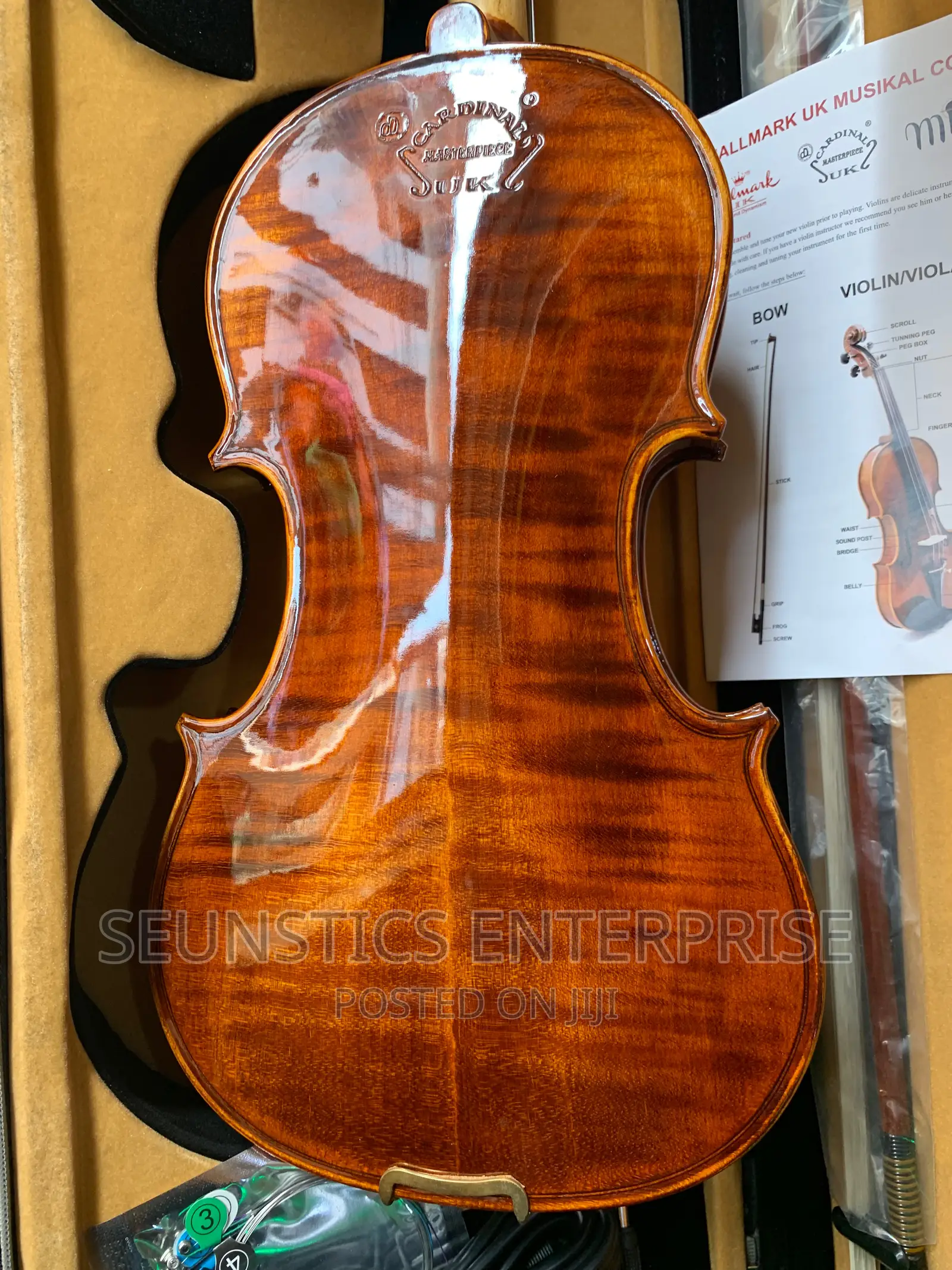 Quality Hallmark Cardinal Concert Electro Acoustic Violin