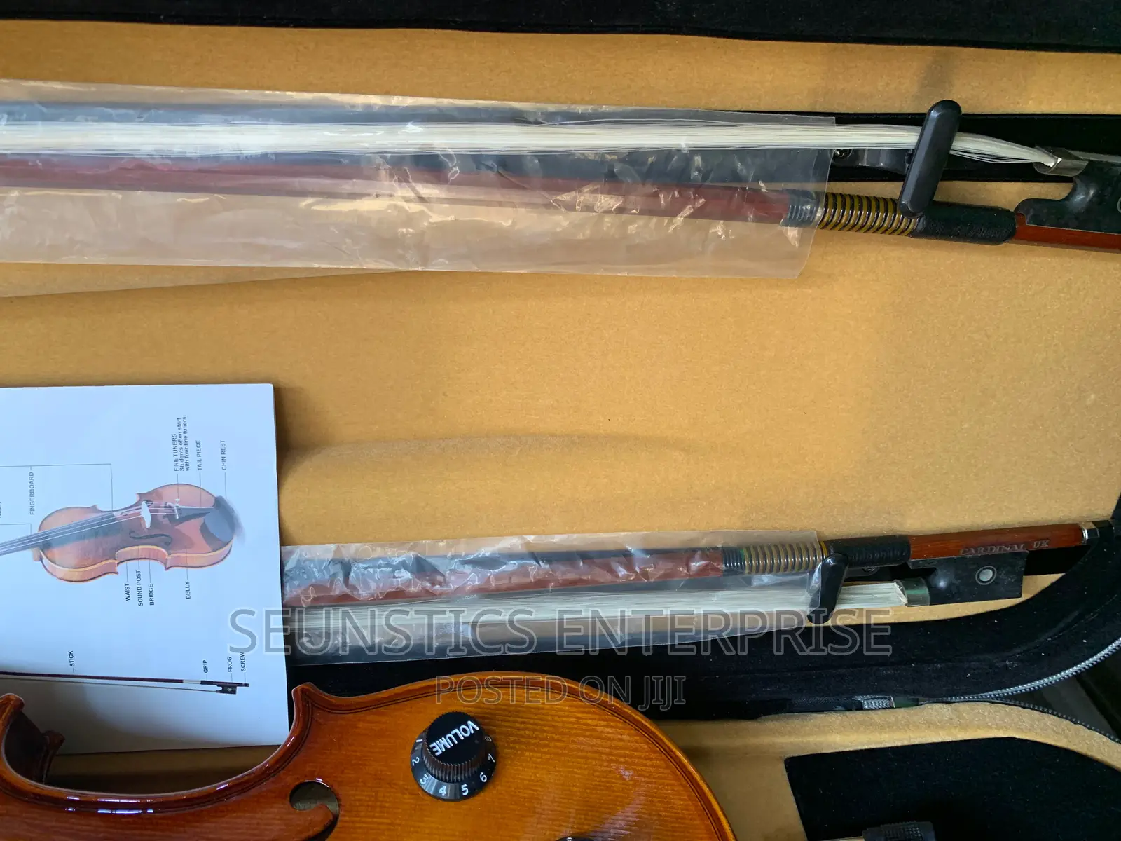 Quality Hallmark Cardinal Concert Electro Acoustic Violin