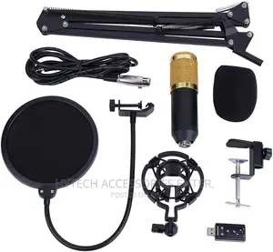 Professional Microphone Kit