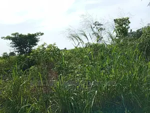 For Sale: 2plots at Redeem Church Prayer Camp