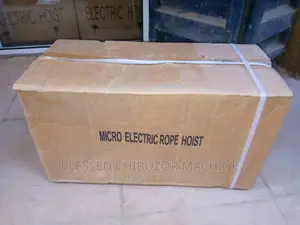 Electric Holst 1000kg
