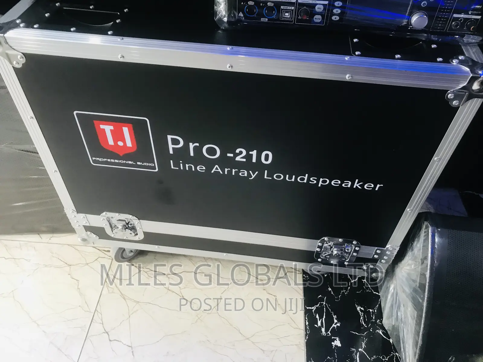 T.I Line Array Speakers Powered Line Array System Pro Audio
