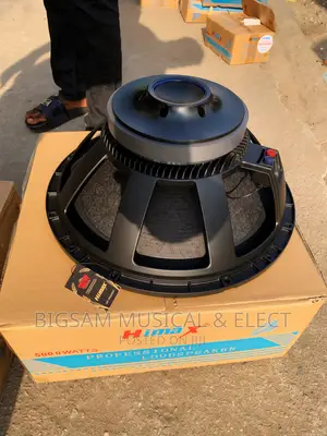 6000watts Himax 18inch Sub Speaker