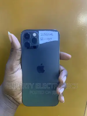 Apple iPhone 12 Pro 256 GB Gray