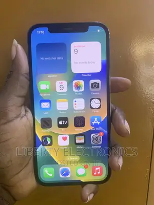 Apple iPhone 12 Pro 256 GB Gray