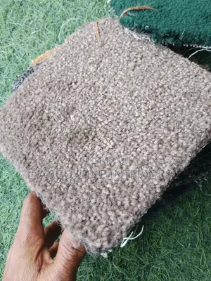 High Quality Vip Wall to Wall Rug Carpet