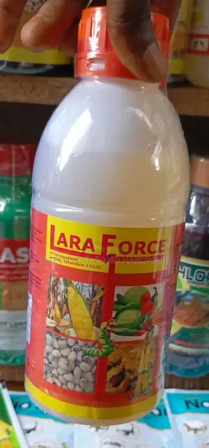 Lara Force