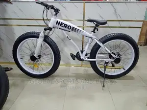 Fat Tyre Bicycle White