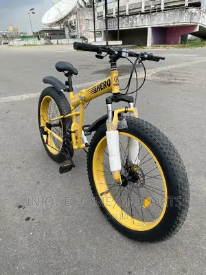 Brand New Foldable Bicycles Big Tyre