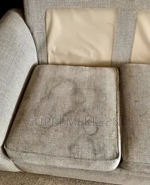 Classic Sofa Chair Cleaning Service