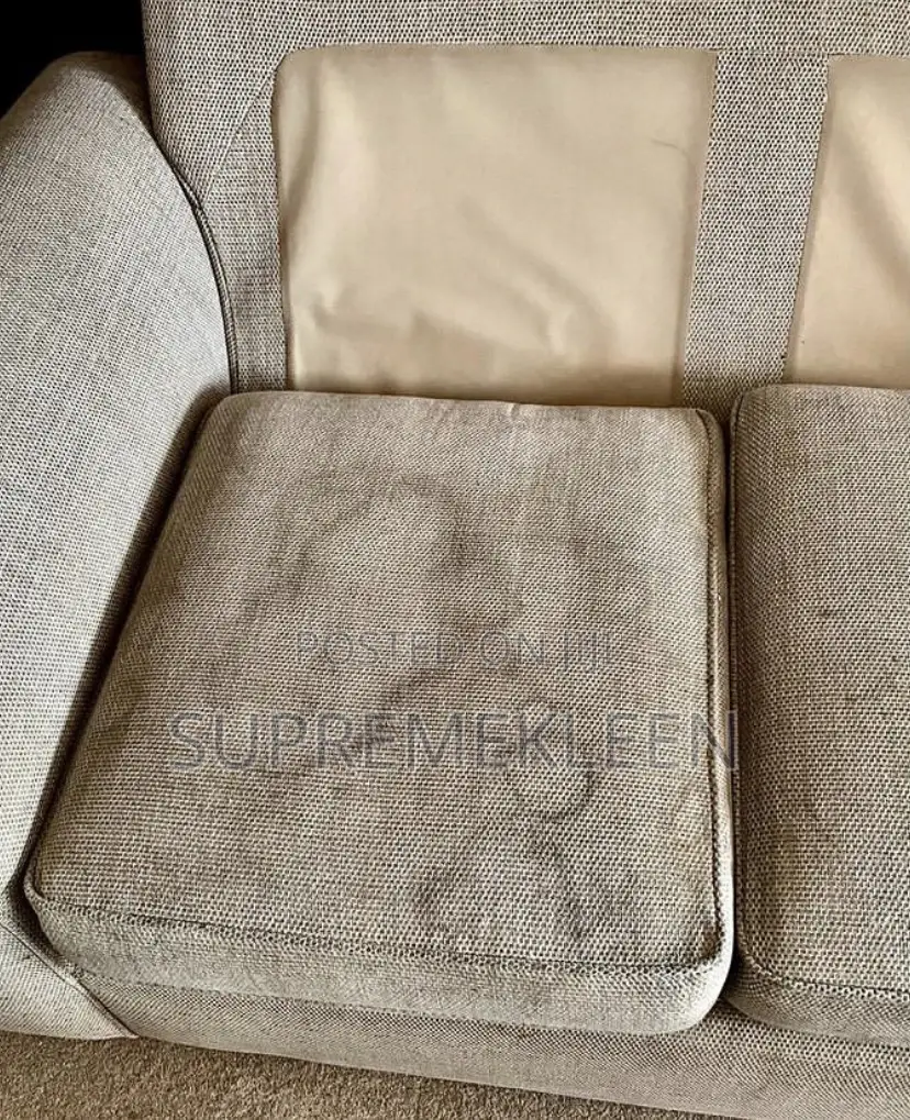Classic Sofa Chair Cleaning Service