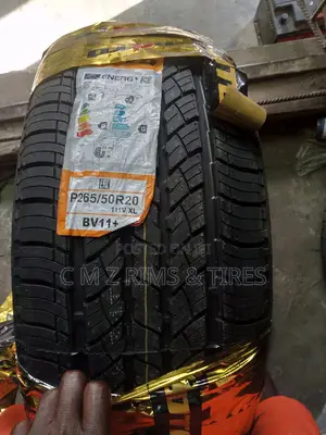 265/50r20 Winda Boto Tires