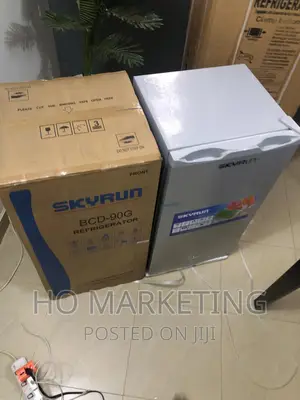 BCD-90g - Skyrun 90l Refrigerator -Silver