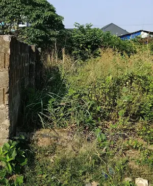 100 By 100 At Otokutu