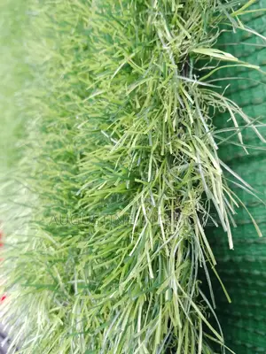 High Quality Turkish Green Grass Rug Carpet 40mm